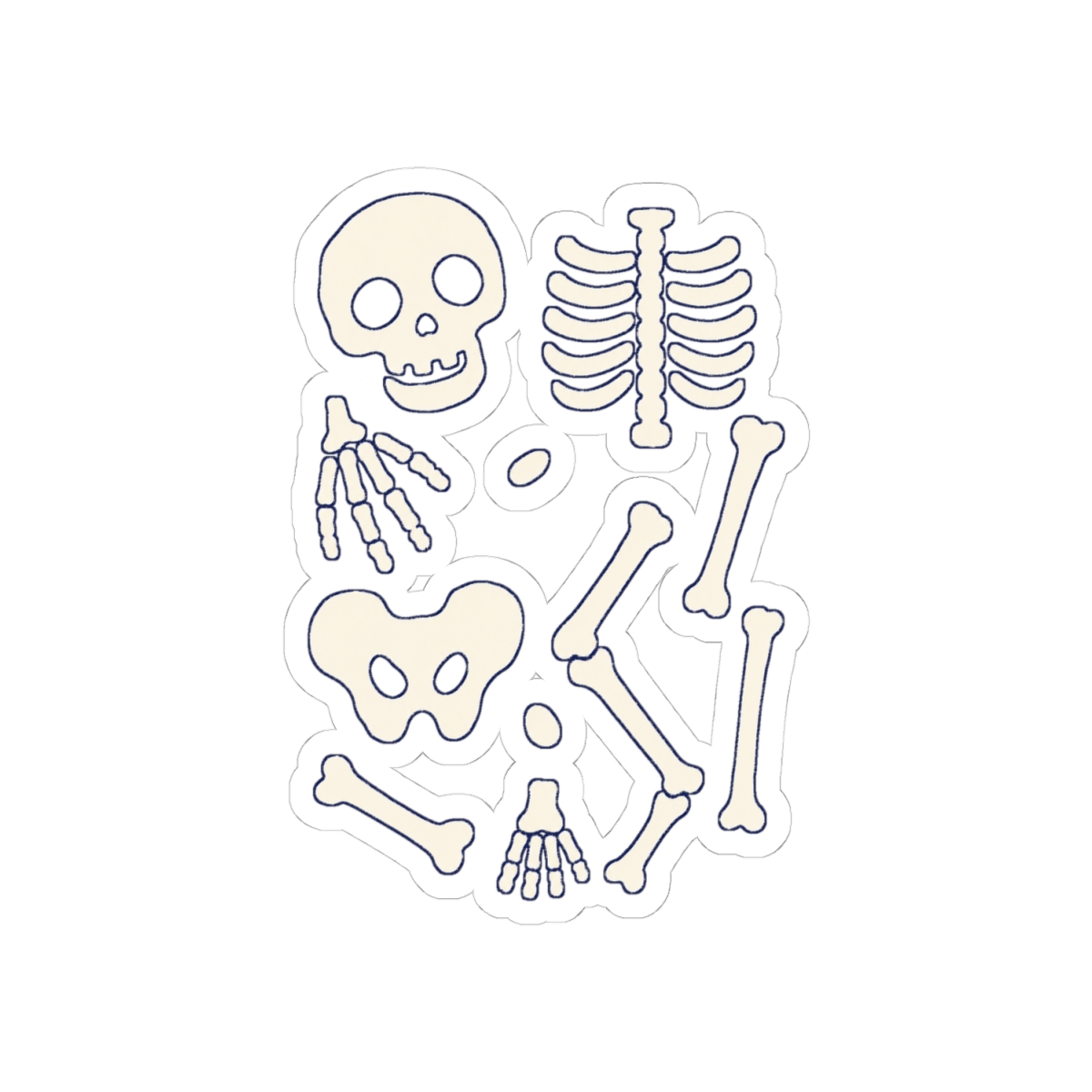 Skeleton Chart Sticker — nomorebrain.com